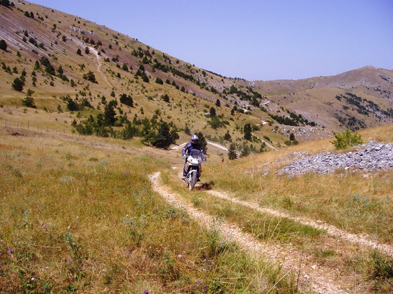 Arriva il Transalpista.JPG